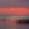 Dreamscape, Florida